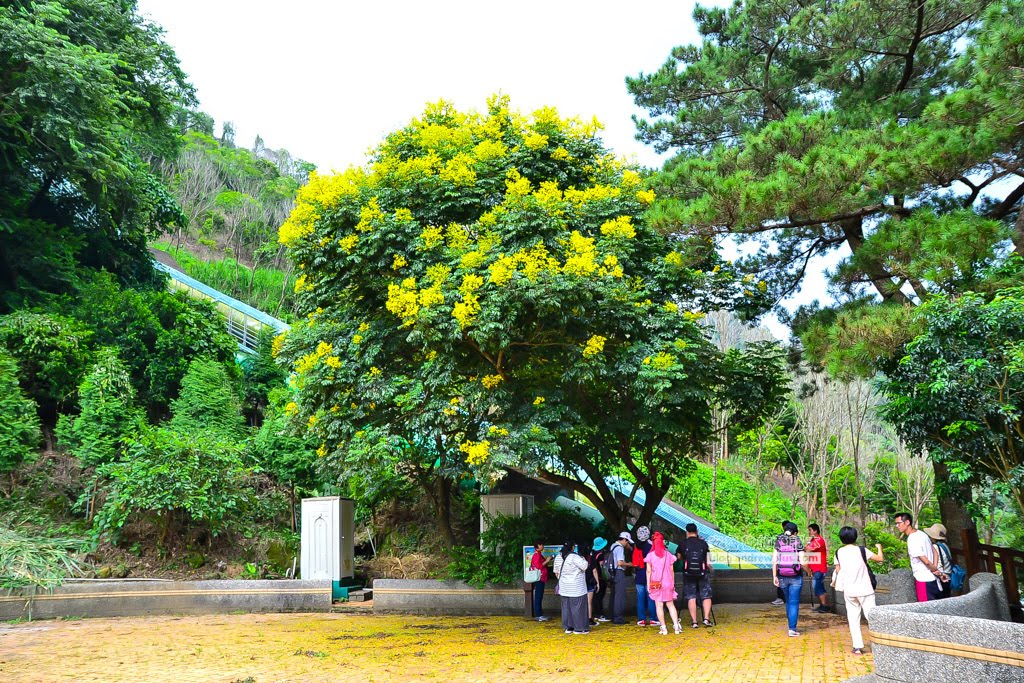 白冷圳紀念公園,台中旅遊景點,台中好玩,拍照打卡景點