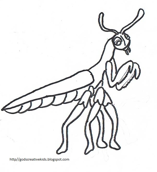 mantis coloring pages - photo #33