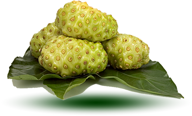 Tips Mengatasi Jerawat Batu Secara Alami Dan Permanen