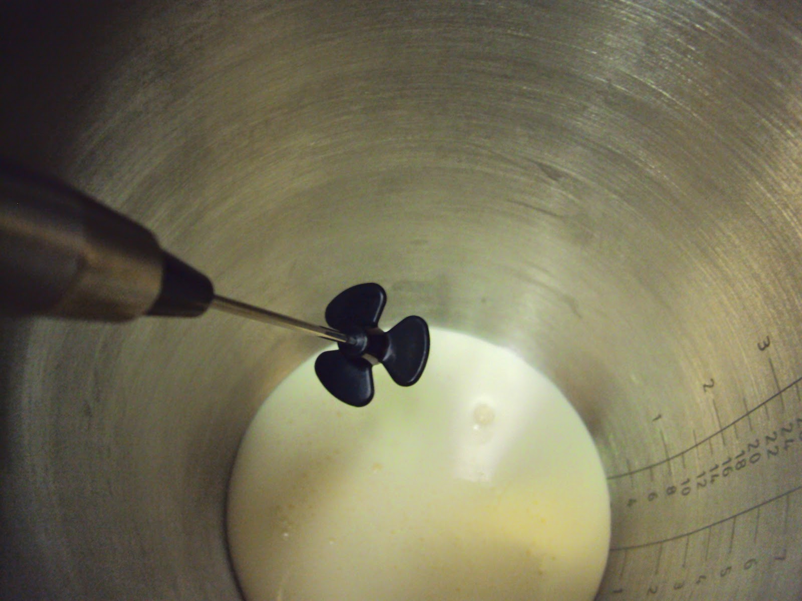 WanderMan Worlds Smallest Stick Blender? (Almost!) Lots Of Uses