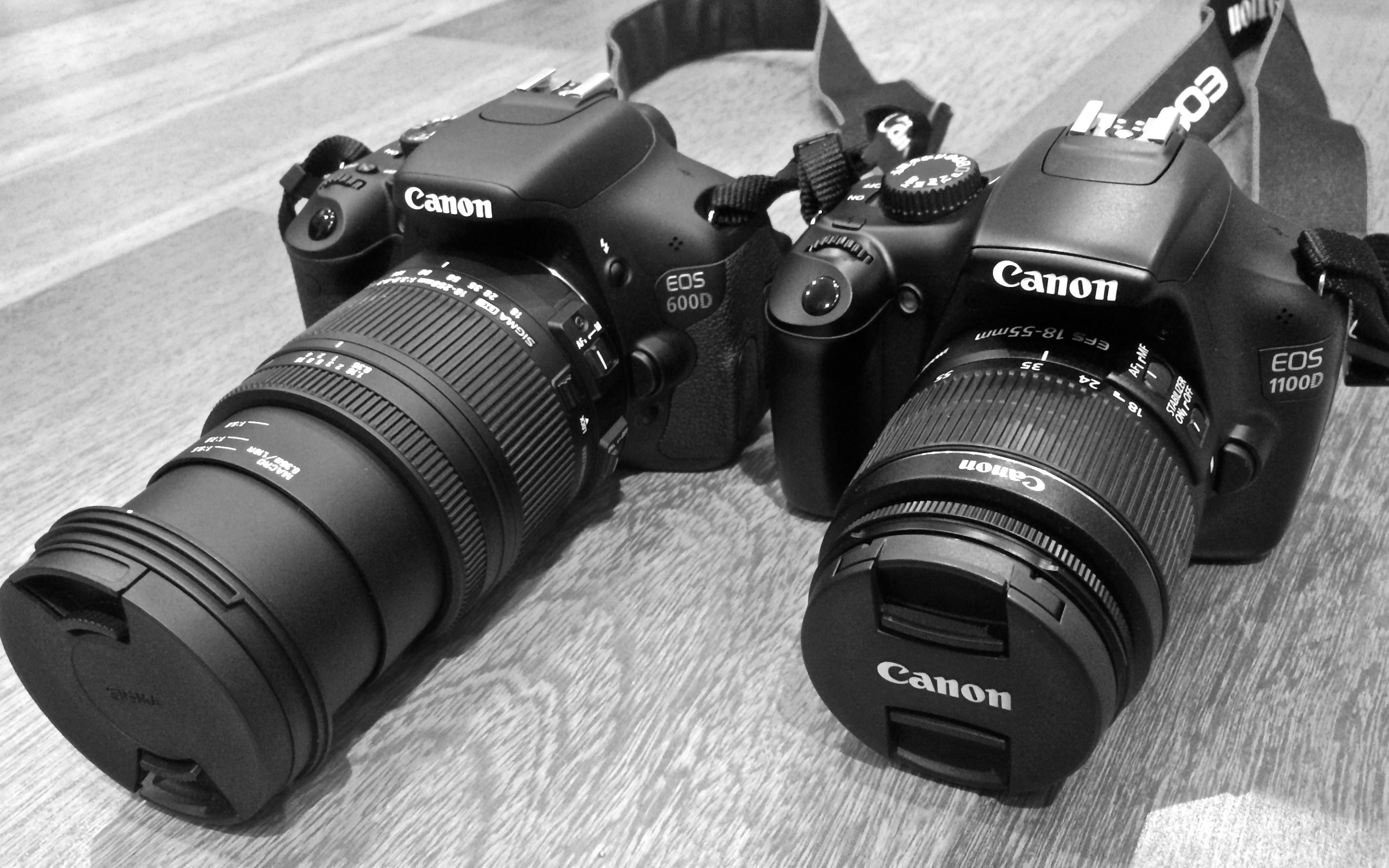 Wallpaper Camera Slr | canon digital slr camera wallpapers www pixshark com Wallpaper Camera Slr | canon digital slr camera wallpapers www pixshark com