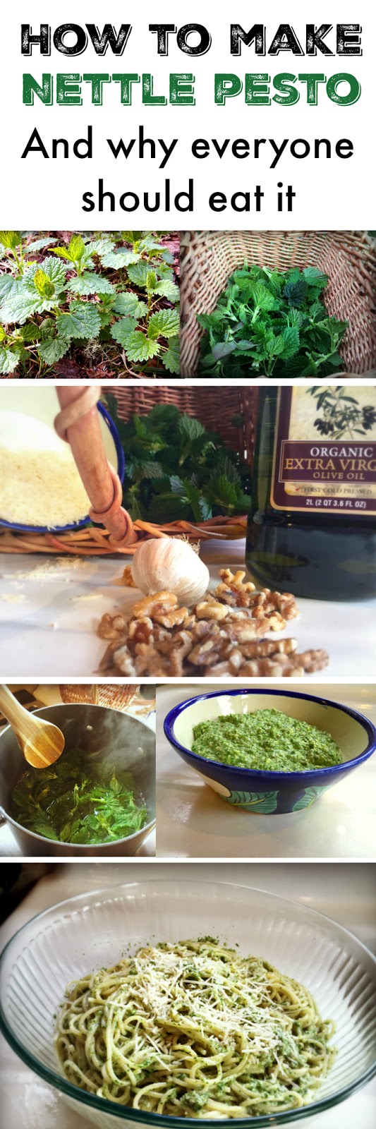 Marblemount Homestead How to make nettle pesto, and why everyone