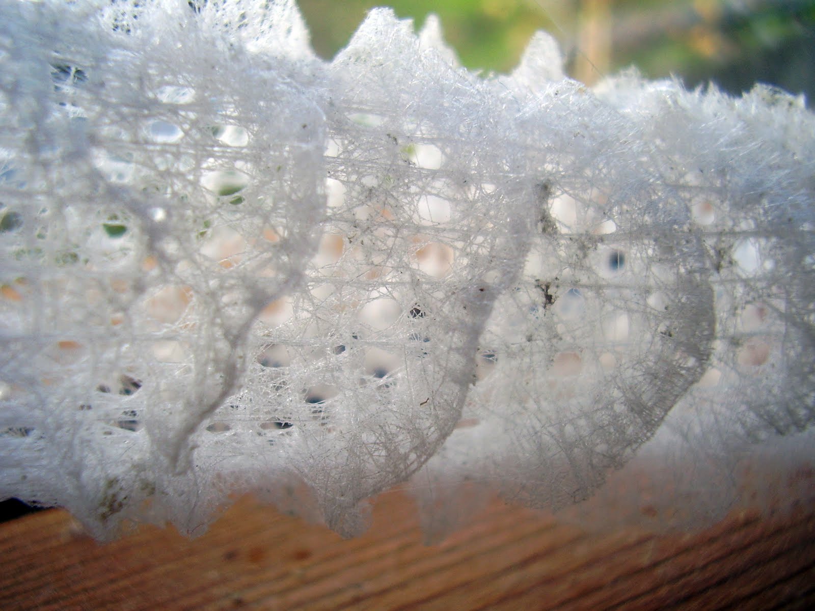 Diary of Dadness Glass skeleton