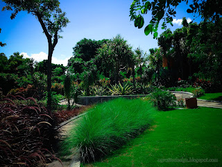 Sweet Garden View With Miscanthus Sinensis Or Maiden Grass