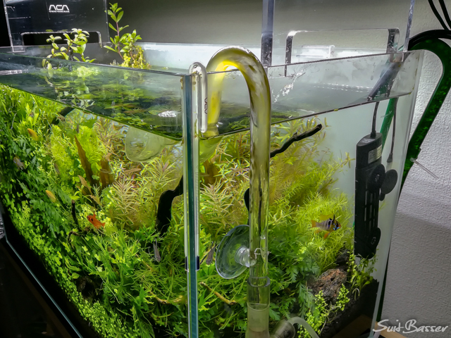 ADA Do!aqua ブランチ スタンドライト 水草 アクアリウム