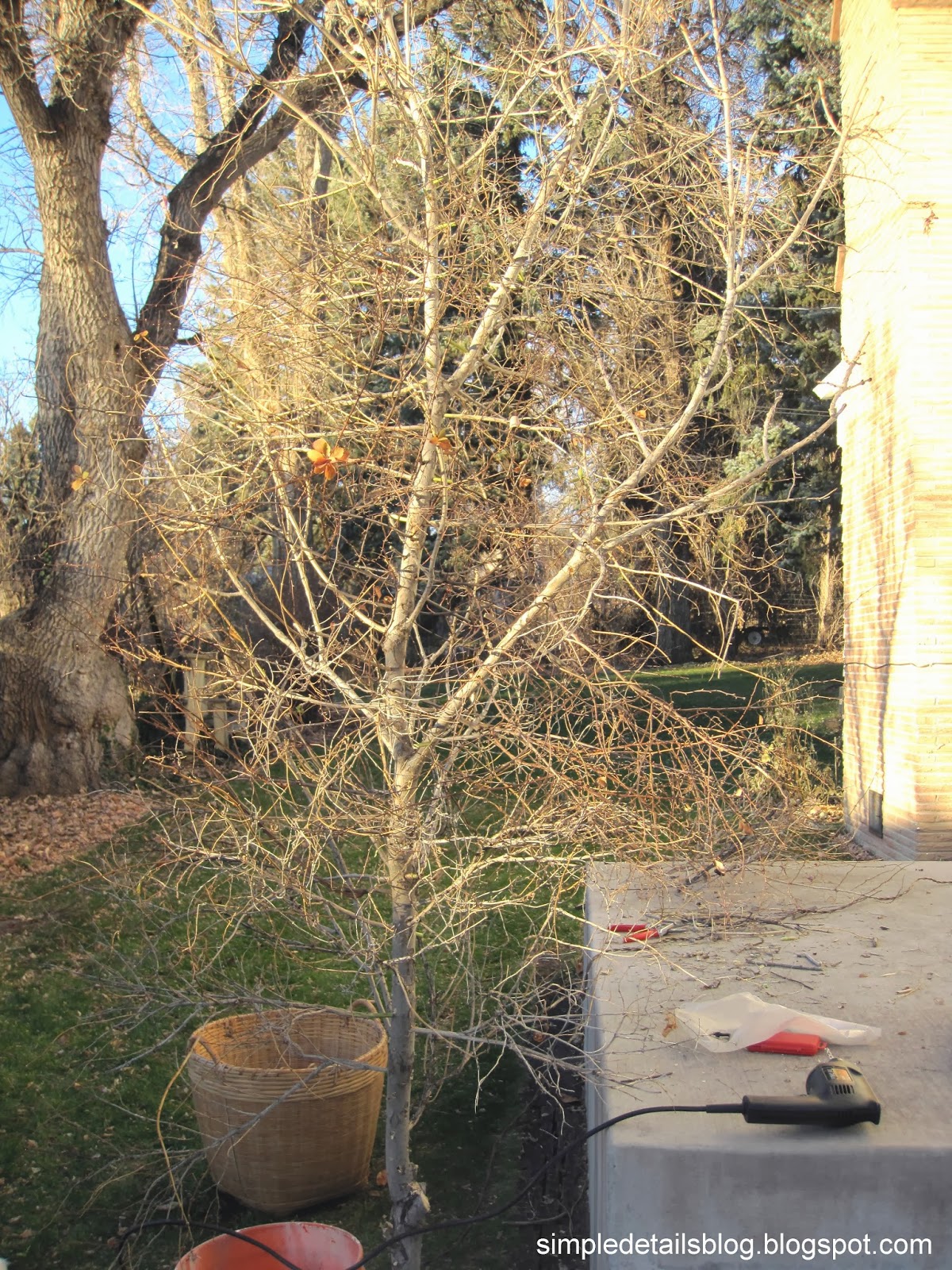 Simple Details diy branch christmas tree...how to