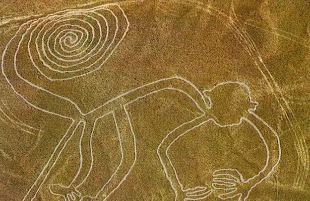The truck damaged the drawings on the Nazca plateau