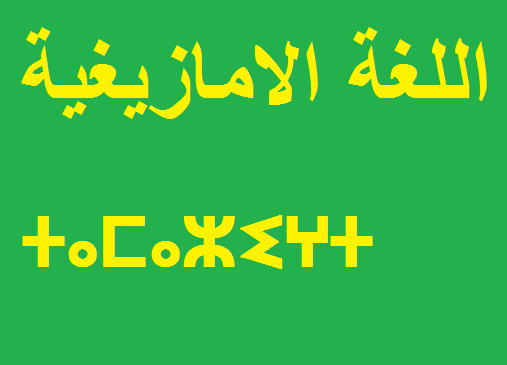 اللغة الامازيغية و بنيتها اللسانية