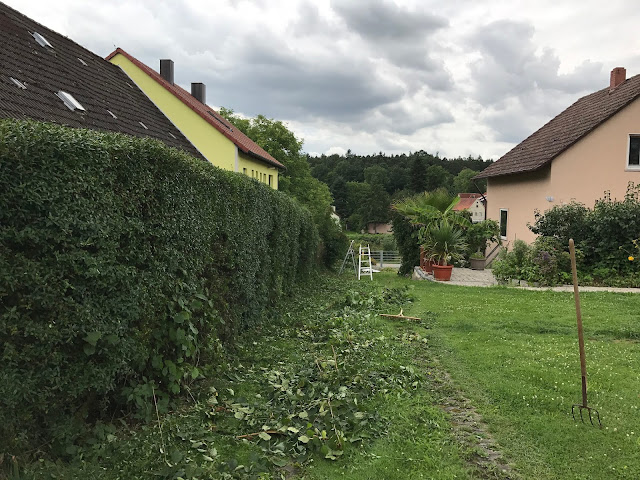 die Schneidarbeiten sind abgeschlossen an der Hecke (c) by Joachim Wenk die Schneidarbeiten sind abgeschlossen an der Hecke (c) by Joachim Wenk