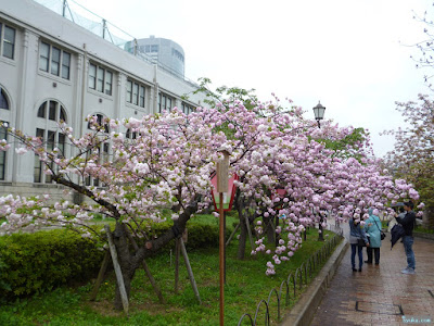 松月 松月