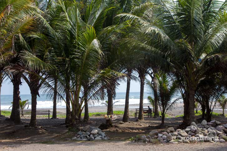 pantai pecaron srati kebumen