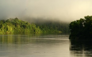 Sungai Mamberamo