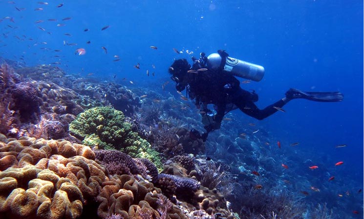 wisata kepulauan sula