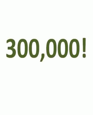 300000 Visitors! Wow! Thanks!