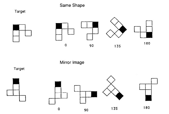 Sign Language Improves Your Mental Rotation Abilities
