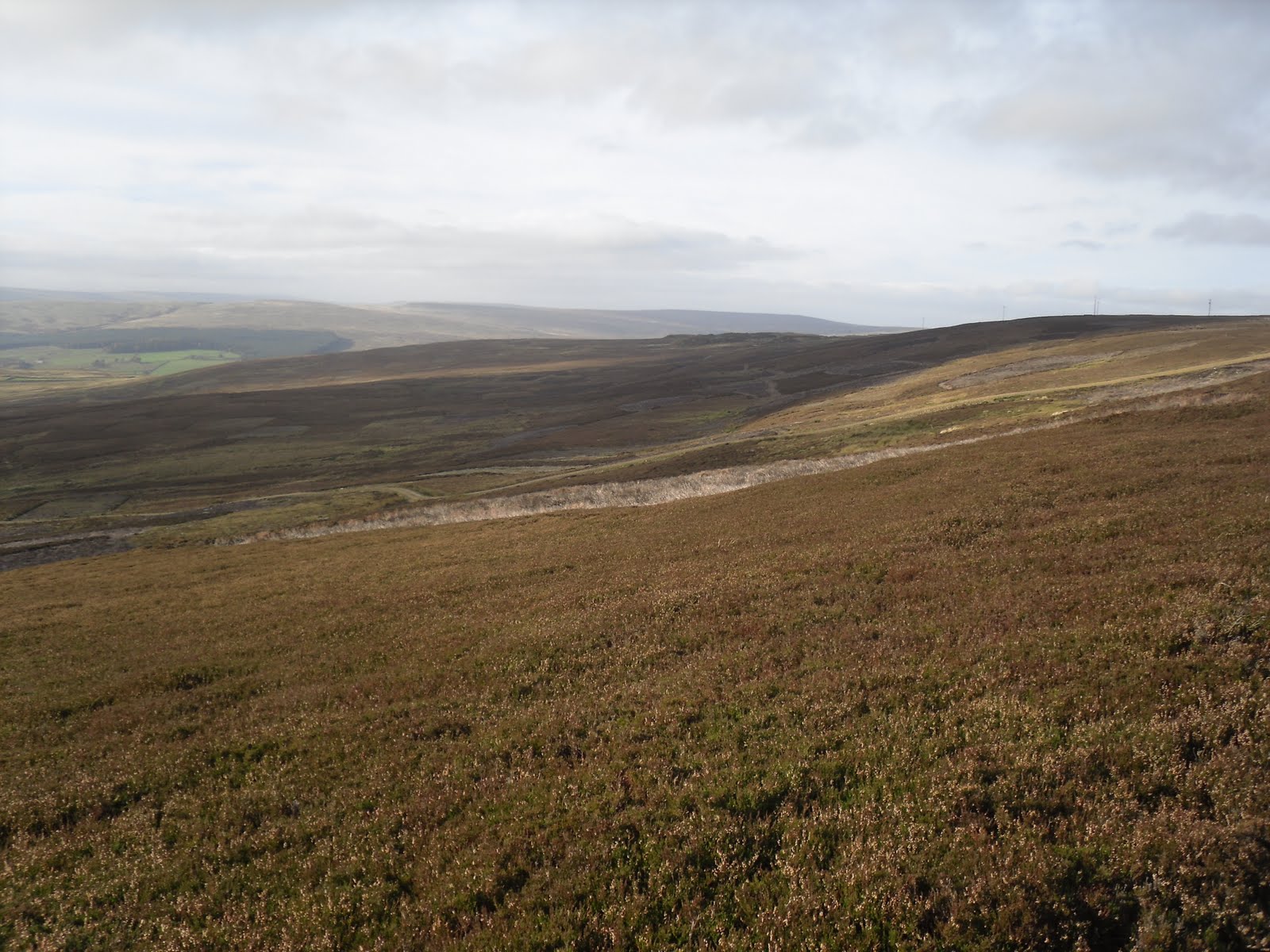 Rambling Nana Stanhope & Wolsingham Park Moor