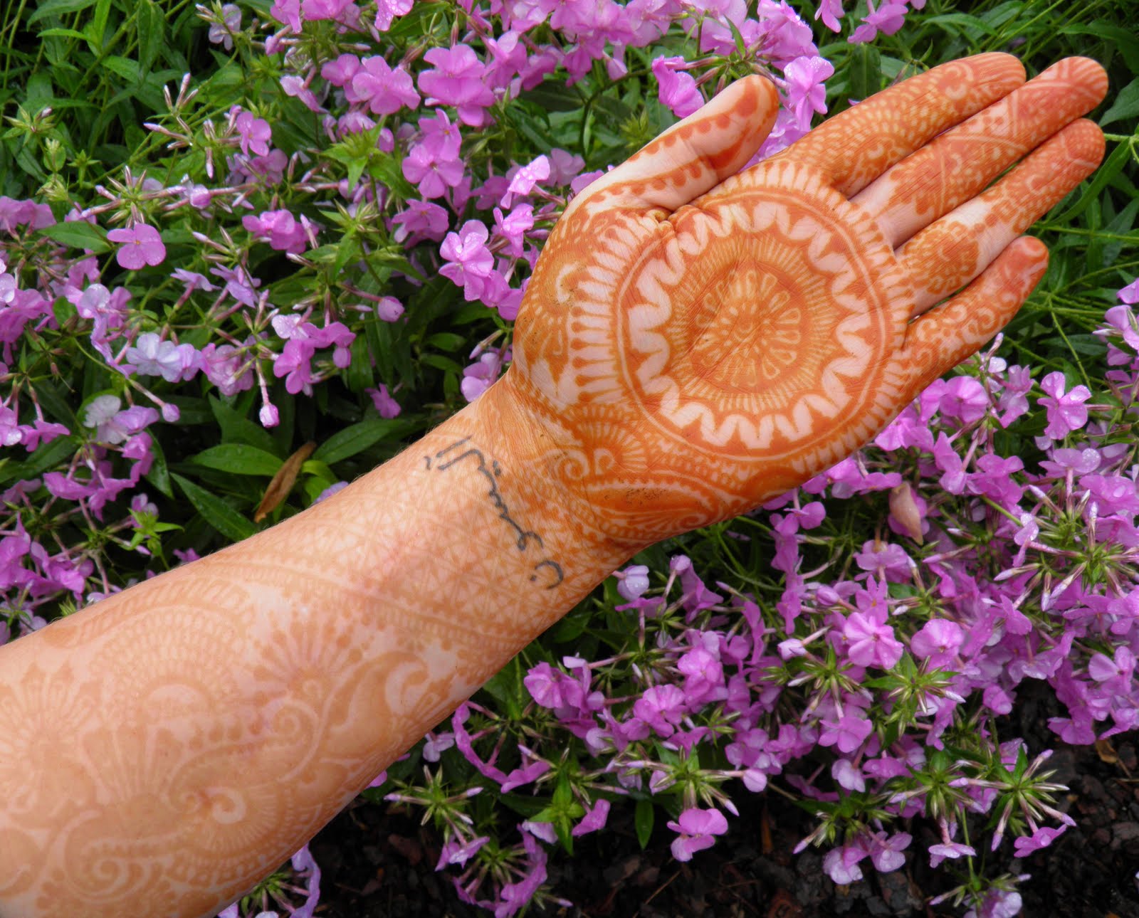 Volcano Henna Lexington KY Melissa Banford