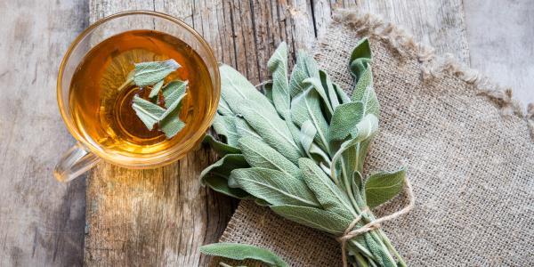 cha-de-salvia-para-emagrecer cha-de-salvia-para-emagrecer