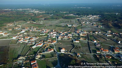 Ervedeira