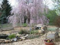 Meadow Muffin Gardens