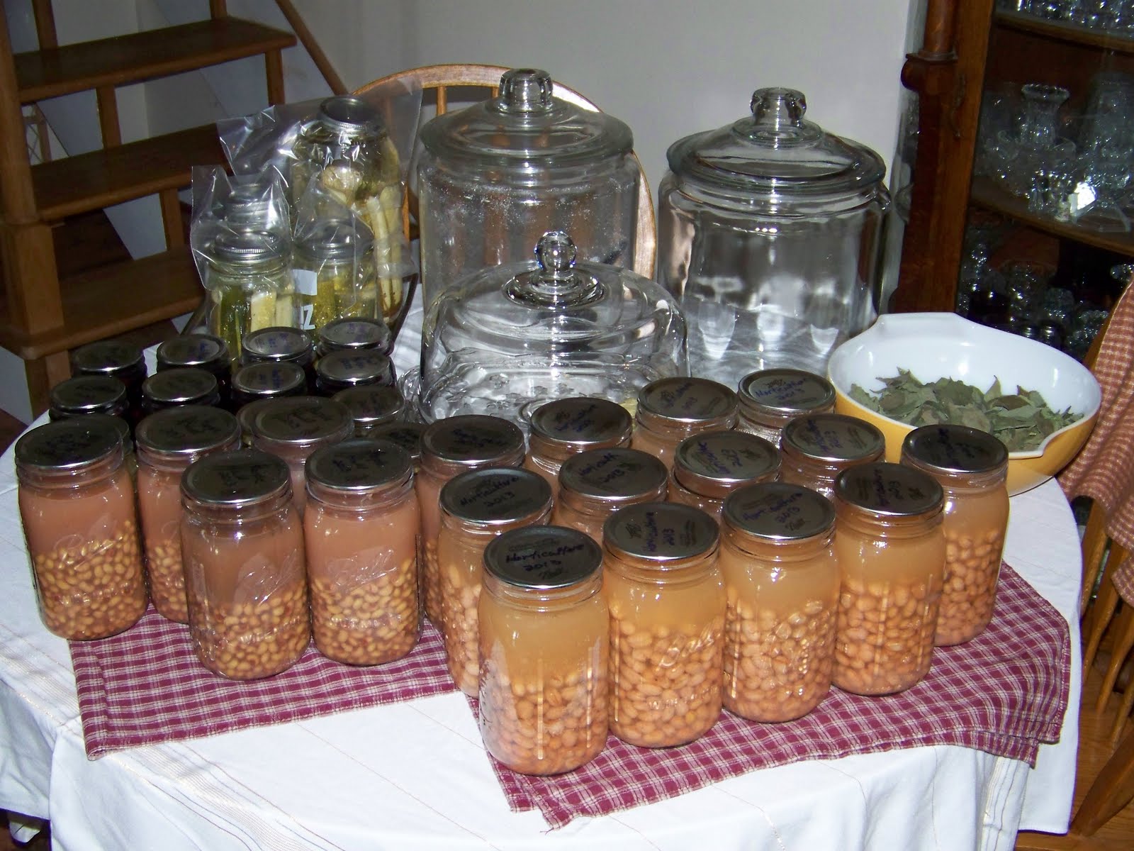 Hickery Holler Farm The Bean Patch