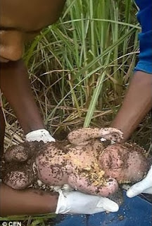 RESCUED Alive After 3 Days, 3 Days Old Baby Buried By Wicked Mother ..See Photos RESCUED Alive After 3 Days, 3 Days Old Baby Buried By Wicked Mother ..See Photos