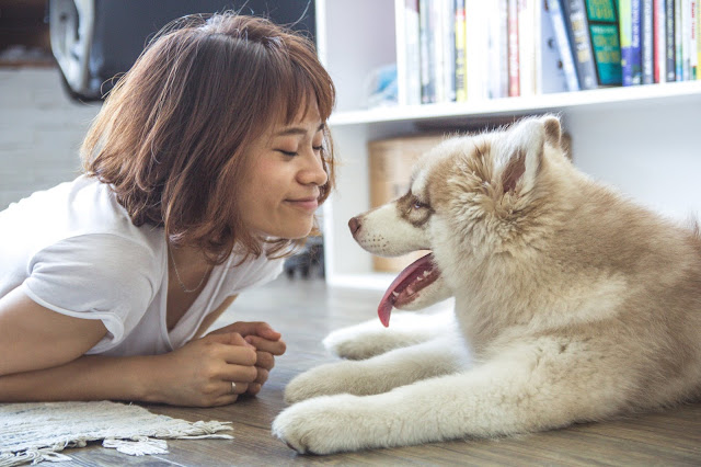 How Having a Pet Can Change Your Life for the Better