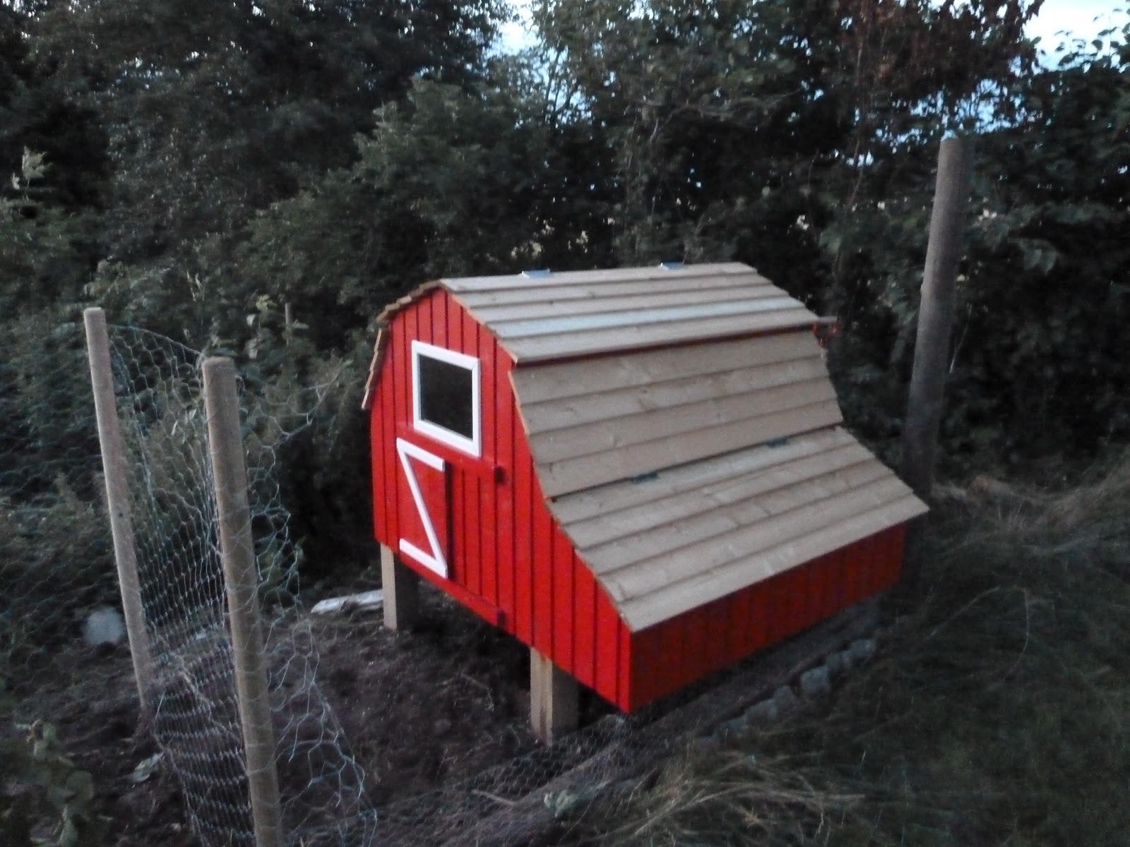 Burnhill's The finished Chicken Barn