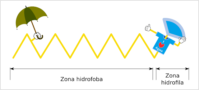 Representación de una mólecula de jabón