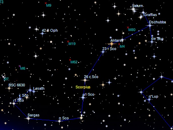 Gombamánia Skorpió