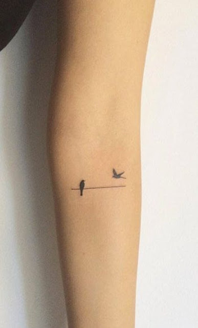 tatuagens femininas de pássaros tatuagens femininas de pássaros