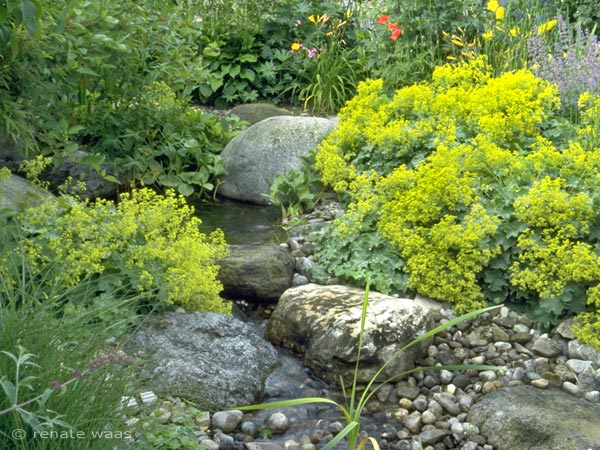 Bachlauf für den Garten mit passender Staudenpflanzung, Bepflanzung Bachlauf