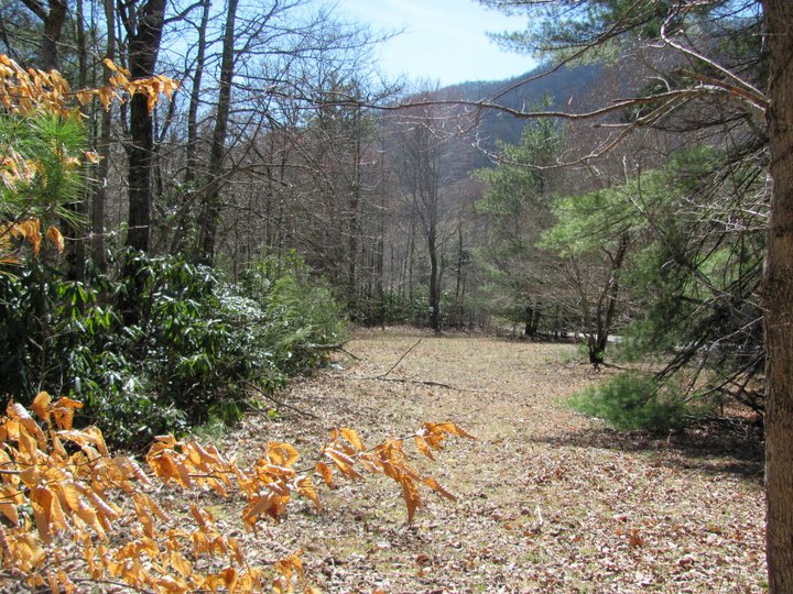 ASHEVILLE, NC MOUNTAIN LAND FOR SALE