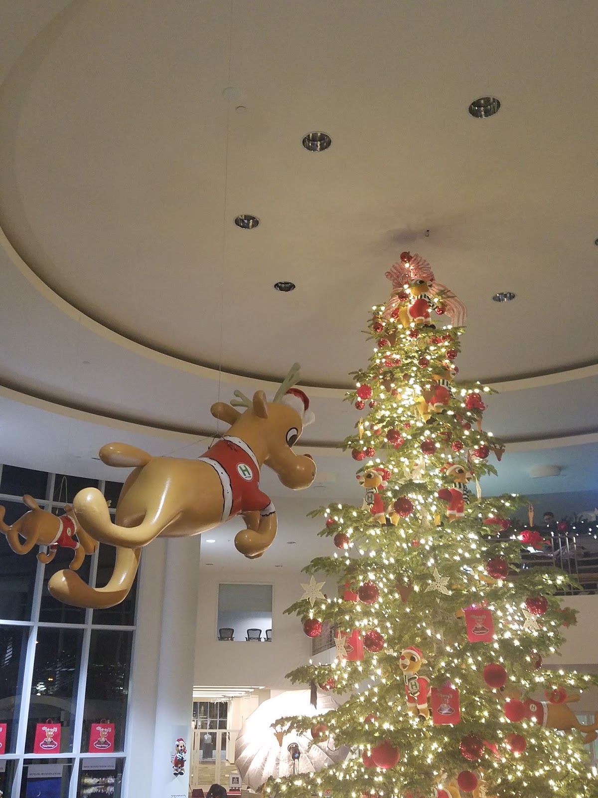 Adventures in Weseland Downtown Hayward Tree Lighting and Santa Con