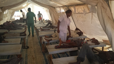 Cholera Outbreak Kills 48 In Borno IDP Camps