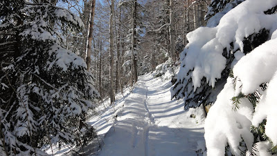 Singletrail zum Bettlachberg Singletrail zum Bettlachberg