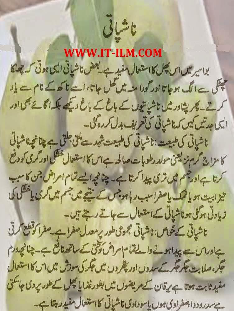 News Entertainment Tips Health Tips Islamic