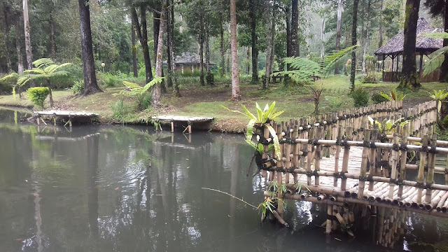 Kolam pancing di Cimanggu