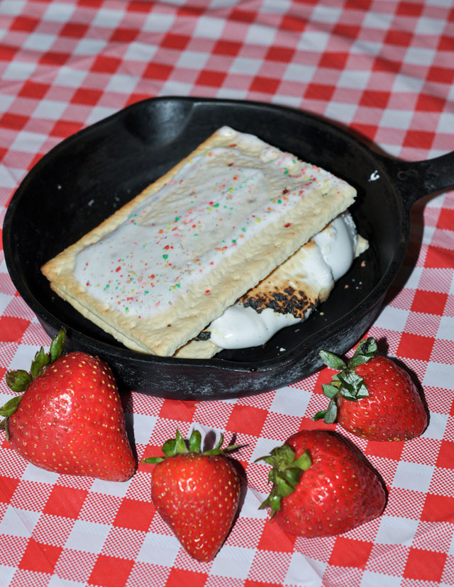 S'Mores Summer Party S'Mores Summer Party