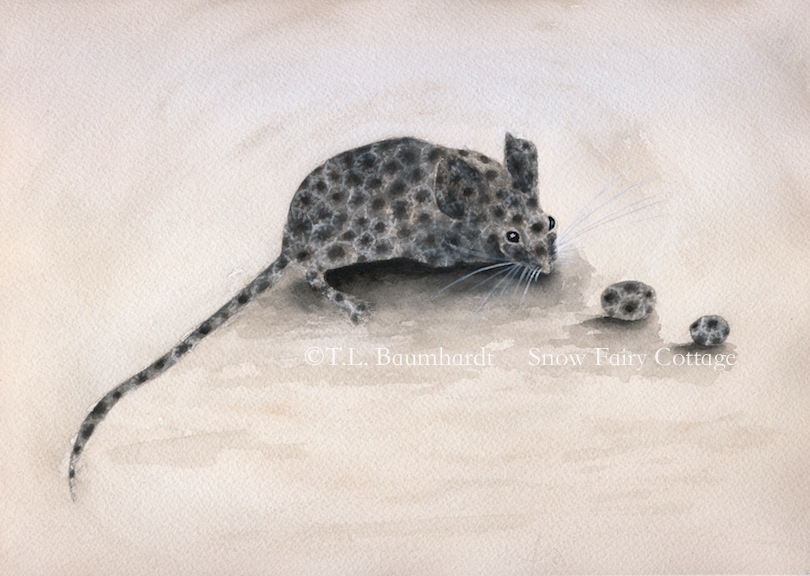 Petoskey Stone Mouse