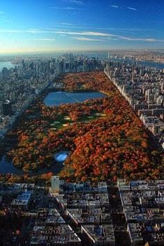 Fall in New York City jjbjorkman.blogspot.com