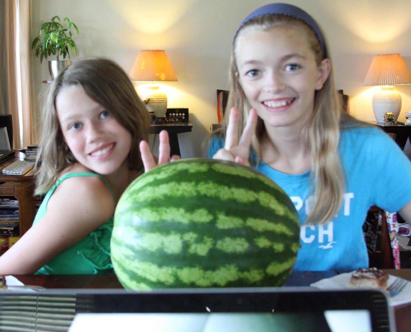 food-wonk-watermelon-sorbet