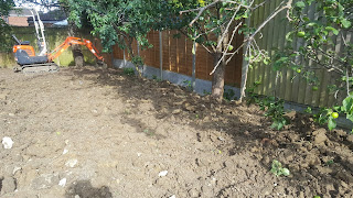 A ripped back garden in the process of being transformed