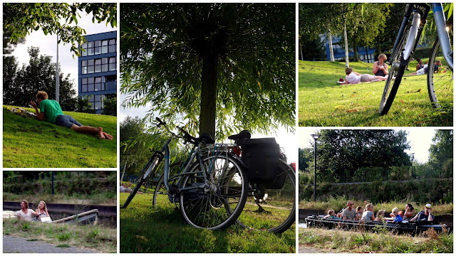 Utrecht, Netherlands: Summer Picnic at the Grift Park ...
