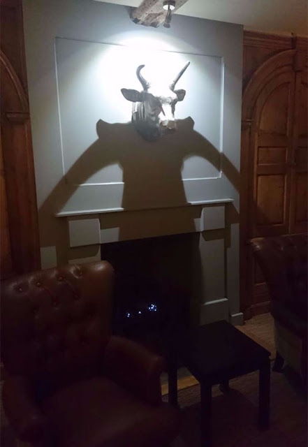 21 imagens surpreendentes de sombras Elfandarilha