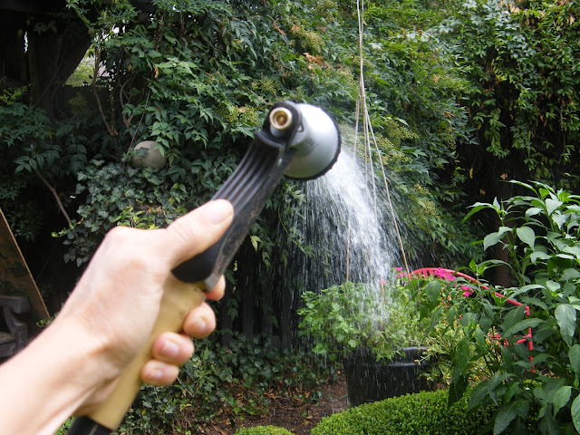 Hose end spray gun set to jet makes watering at a distance a breeze.