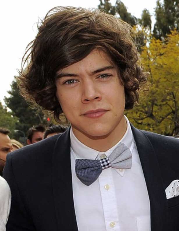 FoldsFive One Direction's Harry Styles confirmed as twelfth doctor