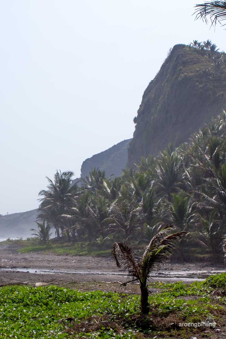 pantai pecaron srati kebumen