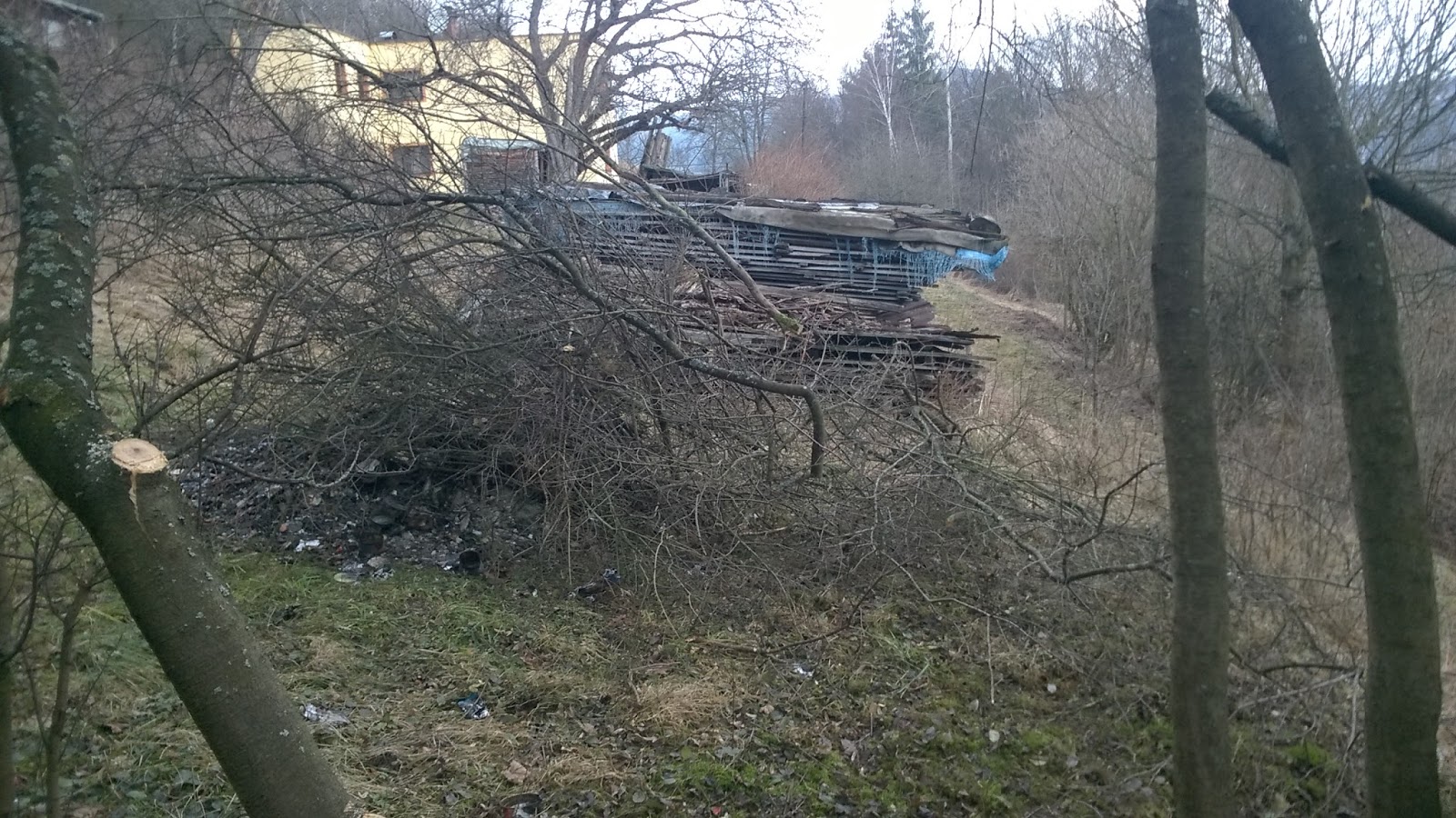 Velký černý kohout v kretén