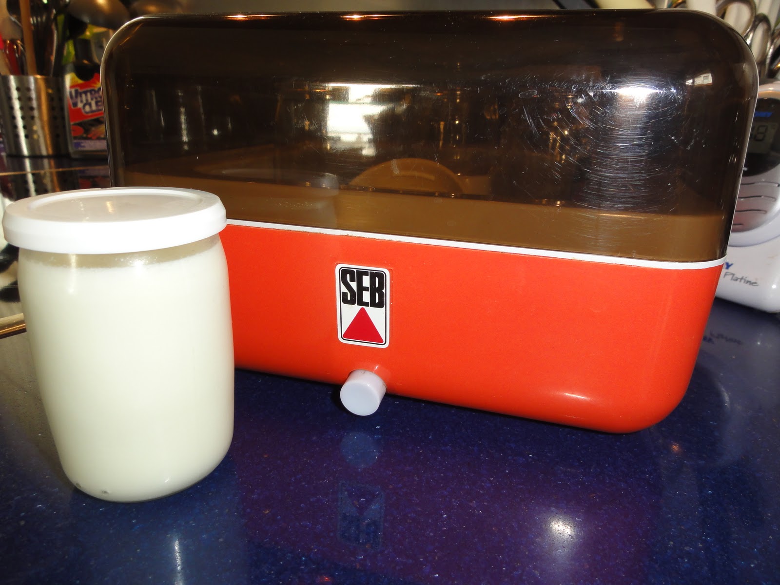 La cuisine de Kittie: Yaourt à la grecque maison